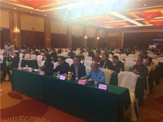 2018廣東第五屆（肇慶）新型墻材技術(shù)交流大會