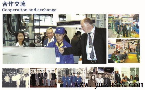 參編國家及行業(yè)標準　銀馬透水磚機實力鑒證