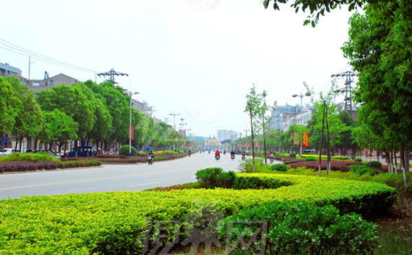 環(huán)保透水磚機(jī)廠家解密綠色街道的概念