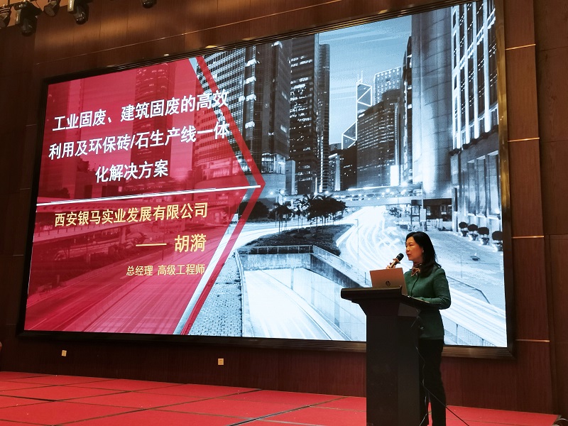 西安銀馬公司總經(jīng)理胡漪女士